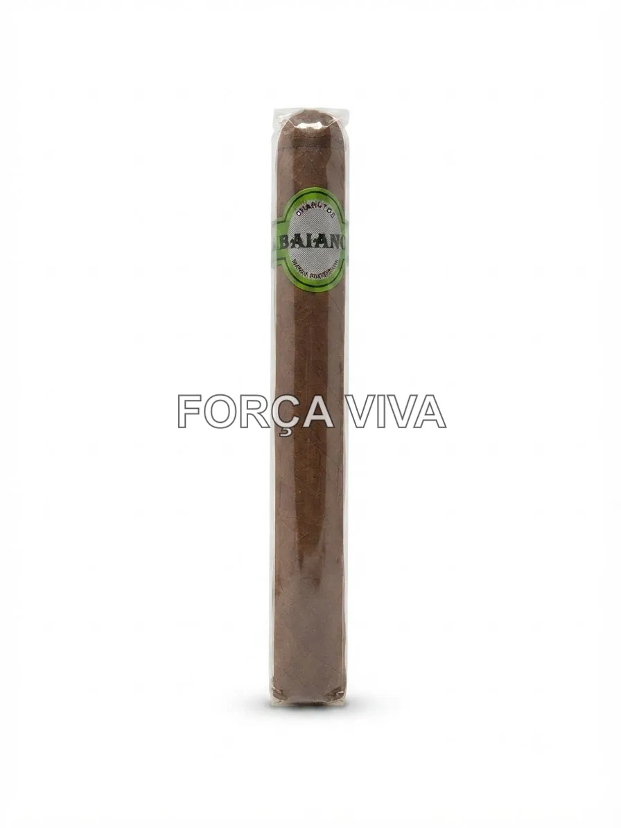Charuto Bom Baianinho | Força Viva